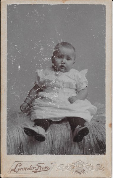 Lambertus van der Feer Bothnia Kade Sneek (1895-1918)